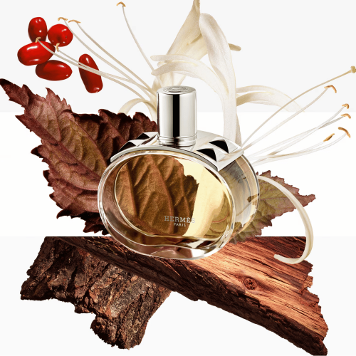 Hermes Barinia 100 Ml Edp Unisex Parfüm
