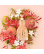 Jimmy Choo I Want Choo Edp 100ml Bayan Parfüm