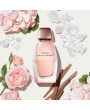 Narciso Rodriguez All of Me Edp 90ml Kadın Parfüm
