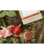 Tiziana Terenzi Porpora 100ml Unisex Parfüm Tiziana Terenzi Porpora 100ml Unisex Parfüm