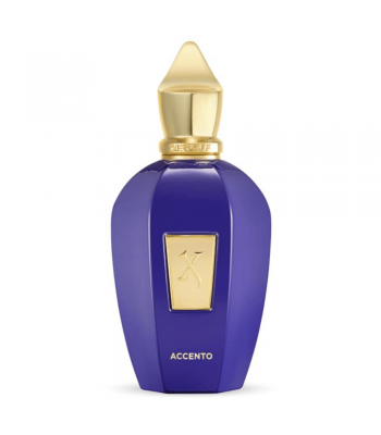 Xerjoff Vibe Accento Edp 100 ml Unisex Parfüm